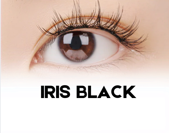 Iris Black Plus (suitable for lash lines up to 33 mm wide)