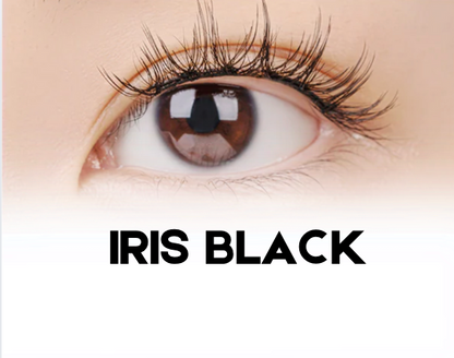 Iris Black Plus (geeignet für Wimpernkranzbreiten bis 33 mm)