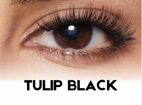 Tulip Black (Piemērotas skropstu līnijai no 26 līdz 36 mm platumam) 