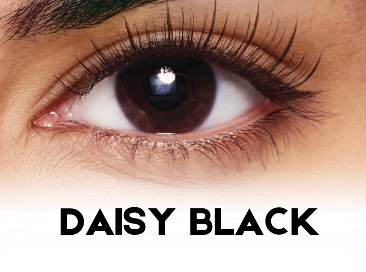Daisy Black (Adecuado para línea de pestañas de 26 a 33 mm de ancho) 