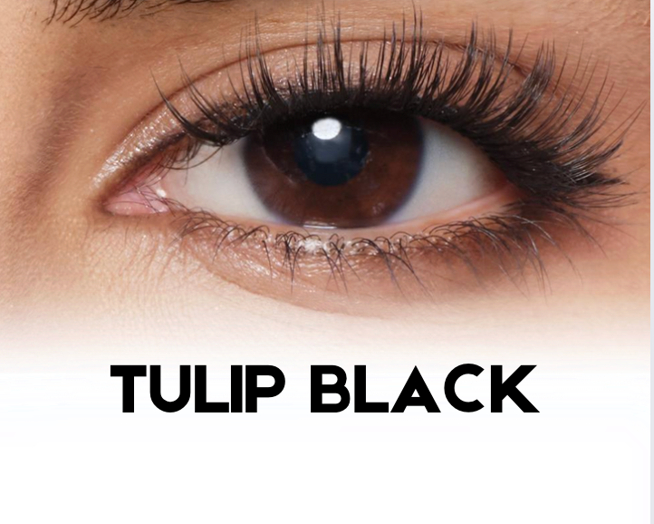 Tulip Black